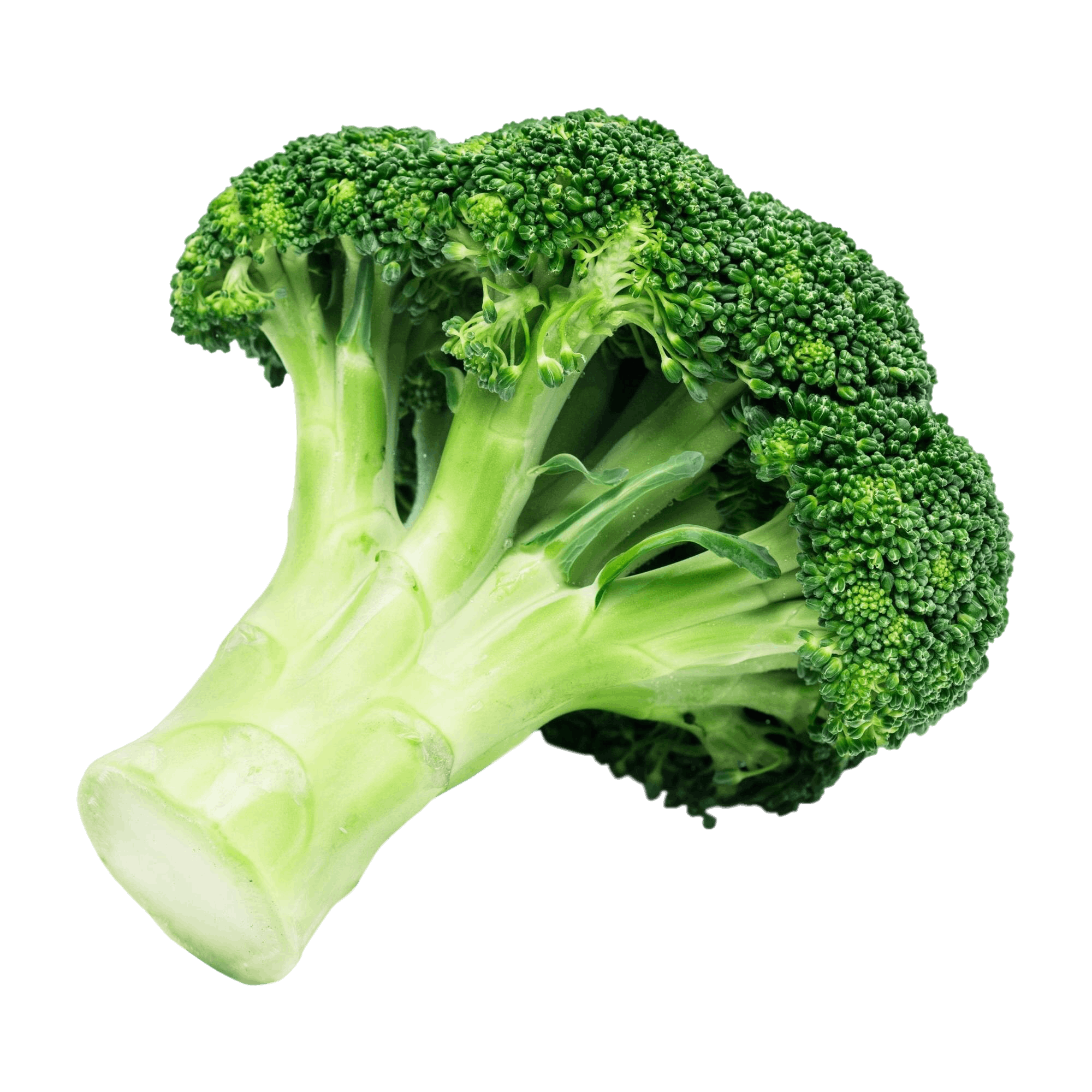 Broccoli